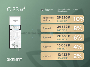 Студия, 25.2м2, 1/4, Эклипт, Тюмень