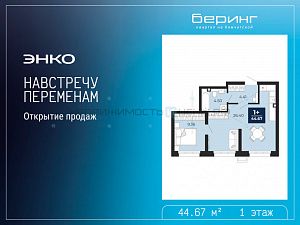 1 комн., 44.67м2, 1/17, Тюмень