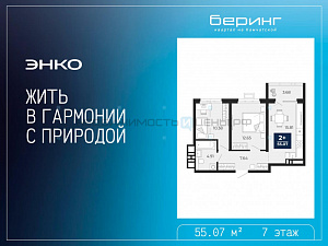 2 комн., 55.07м2, 7/19, Тюмень