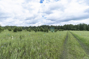 Земельный участок, Тюмень