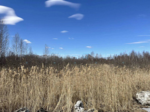 Земельный участок, Тюмень