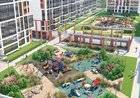 купить квартиру в ЖК Стрижи в Невском купить квартиру в ЖК Стрижи в Невском