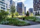 фото ЖК Собрание клубных домов West Garden фото ЖК Собрание клубных домов West Garden