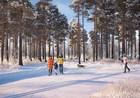 фото ЖК Riga Hills (Рига Хиллс) фото ЖК Riga Hills (Рига Хиллс)