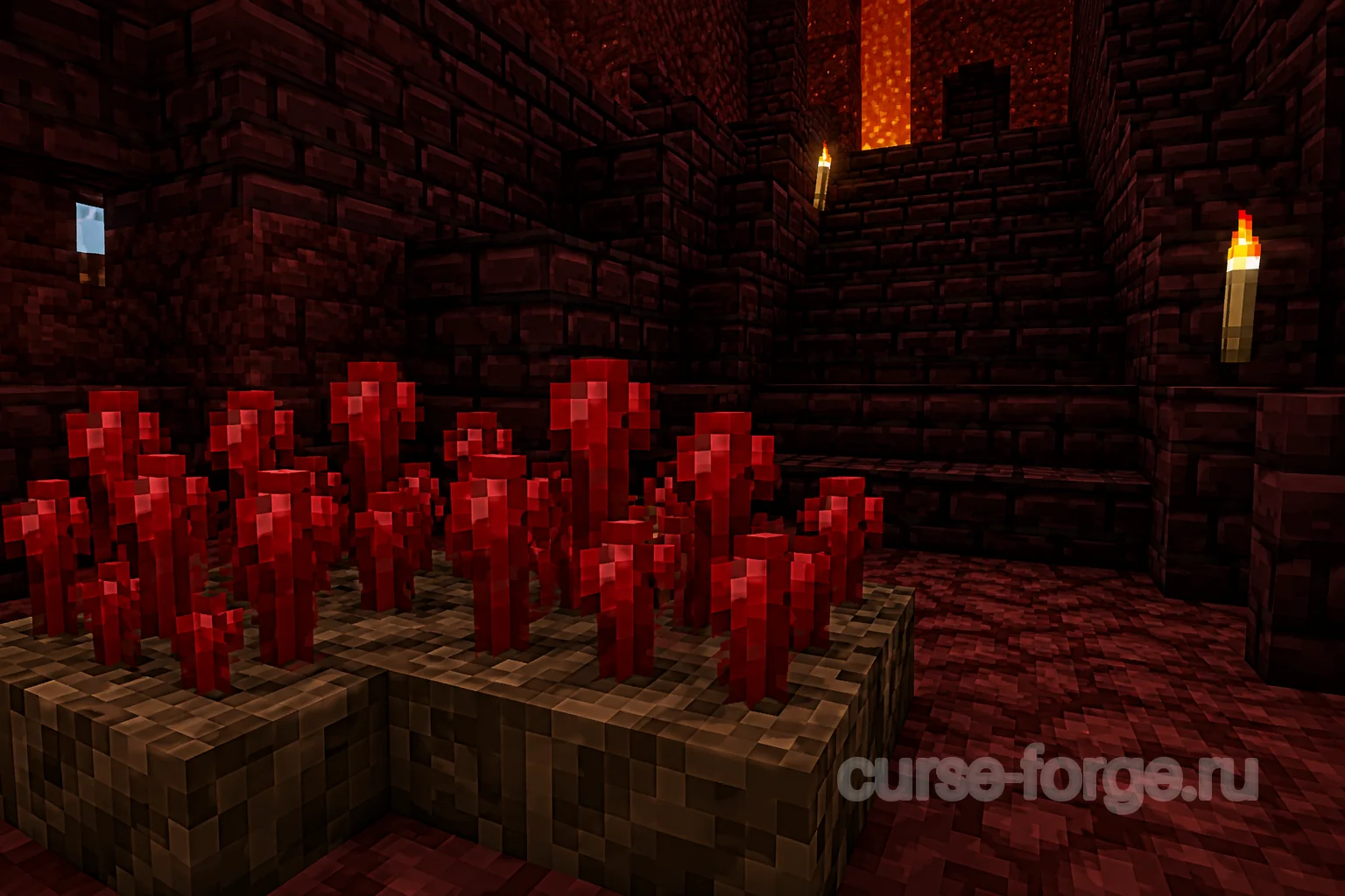 Незерский нарост в адской крепости Minecraft