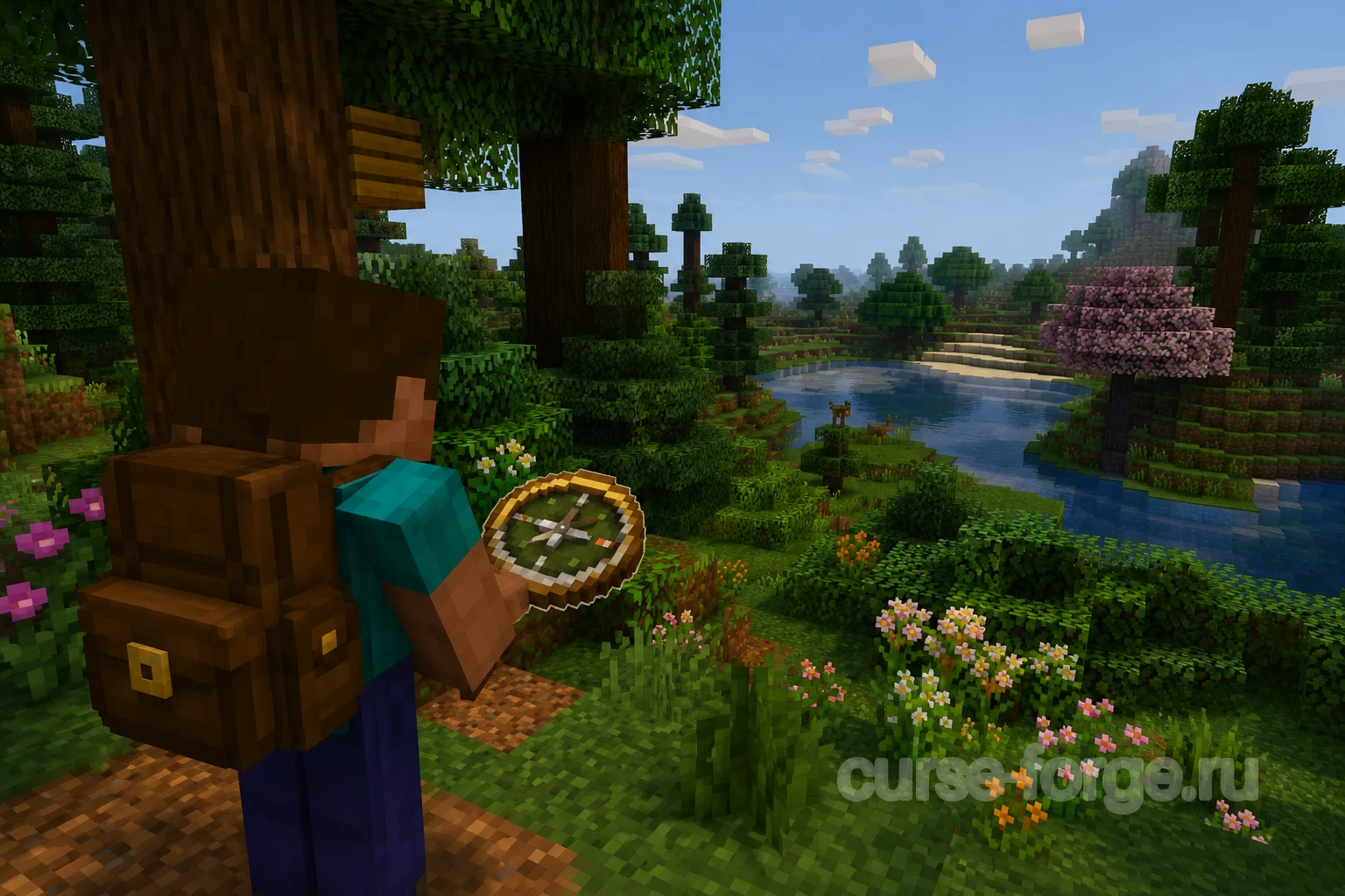 Nature's Compass