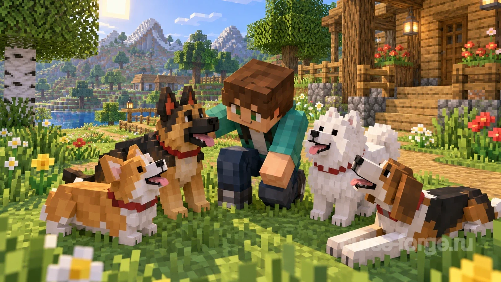 Better Dogs