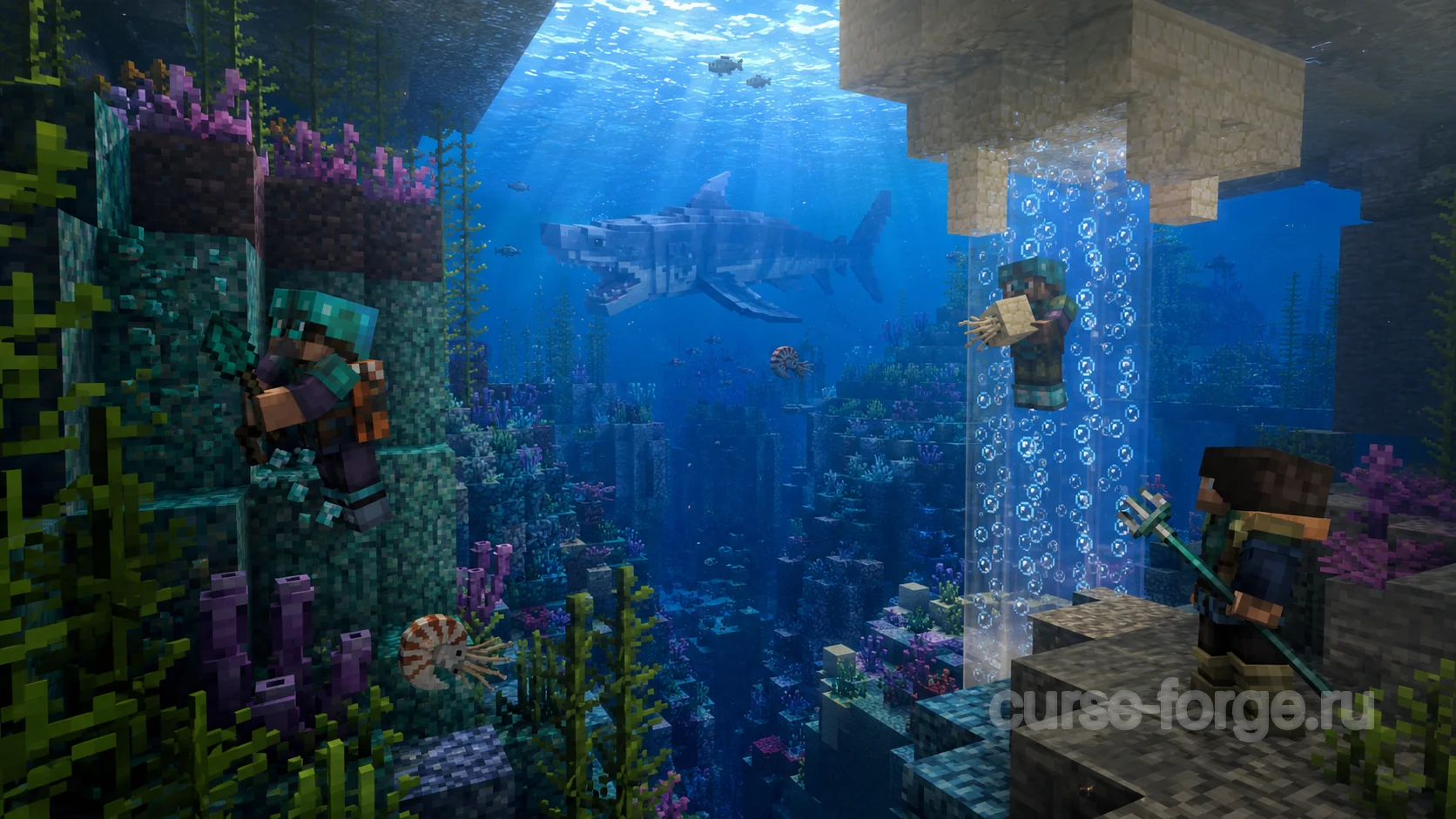 Upgrade Aquatic