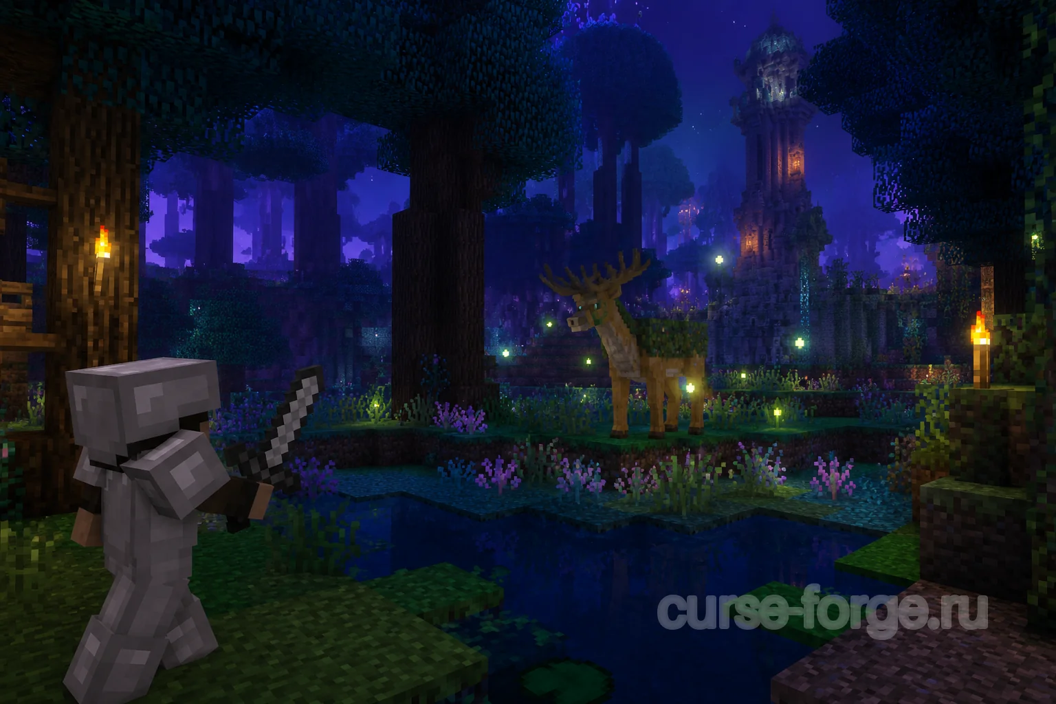 The Twilight Forest
