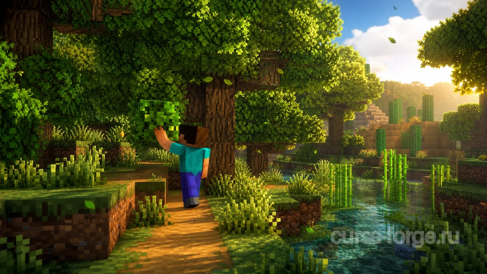 Better Foliage
