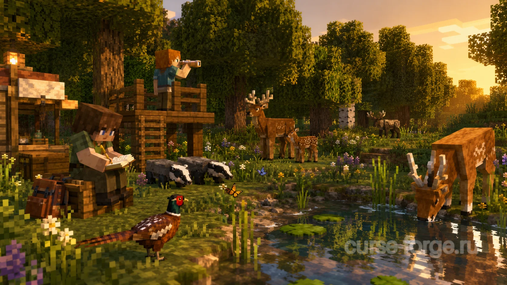 Better Animals Plus