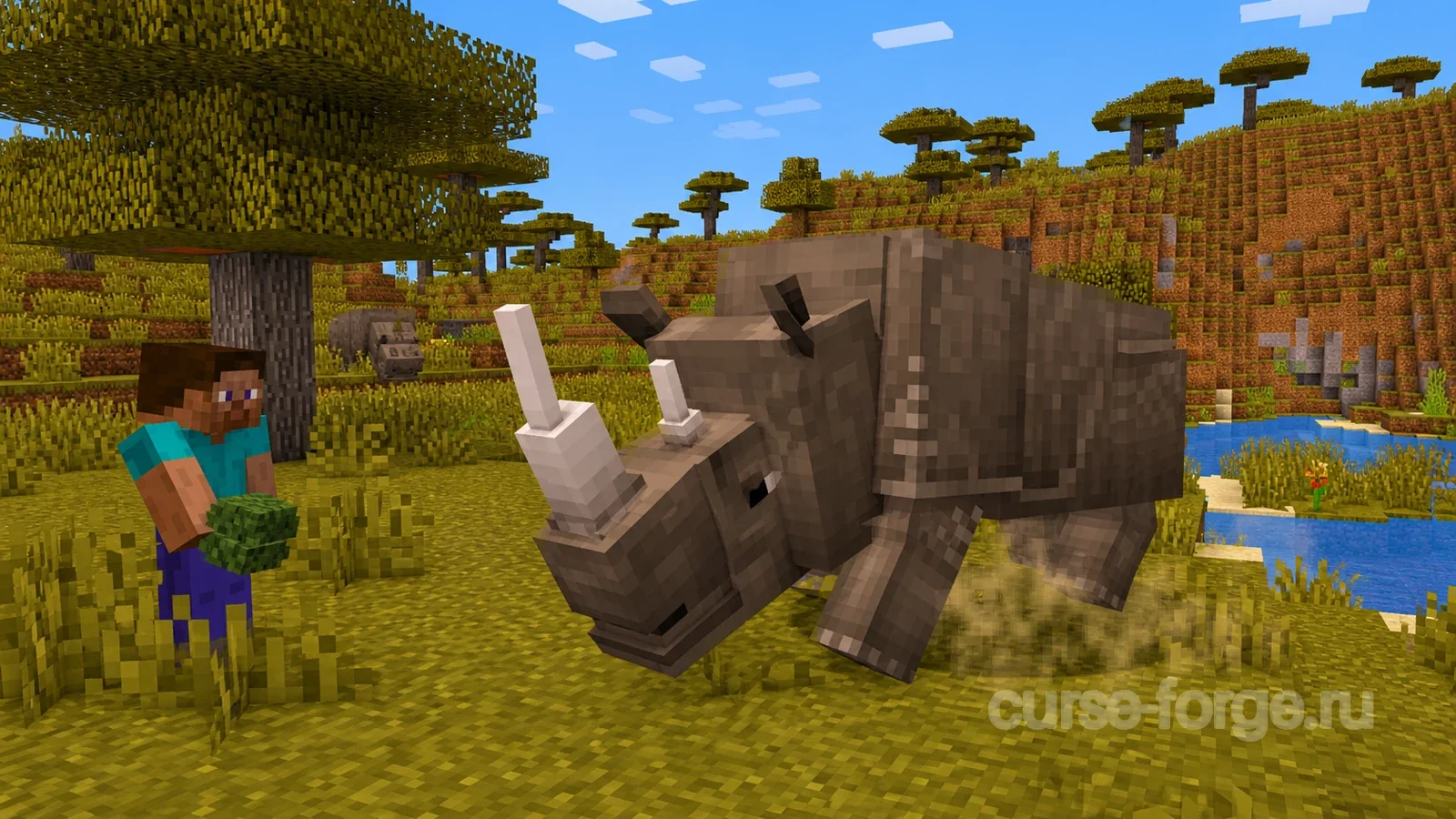 Rhino