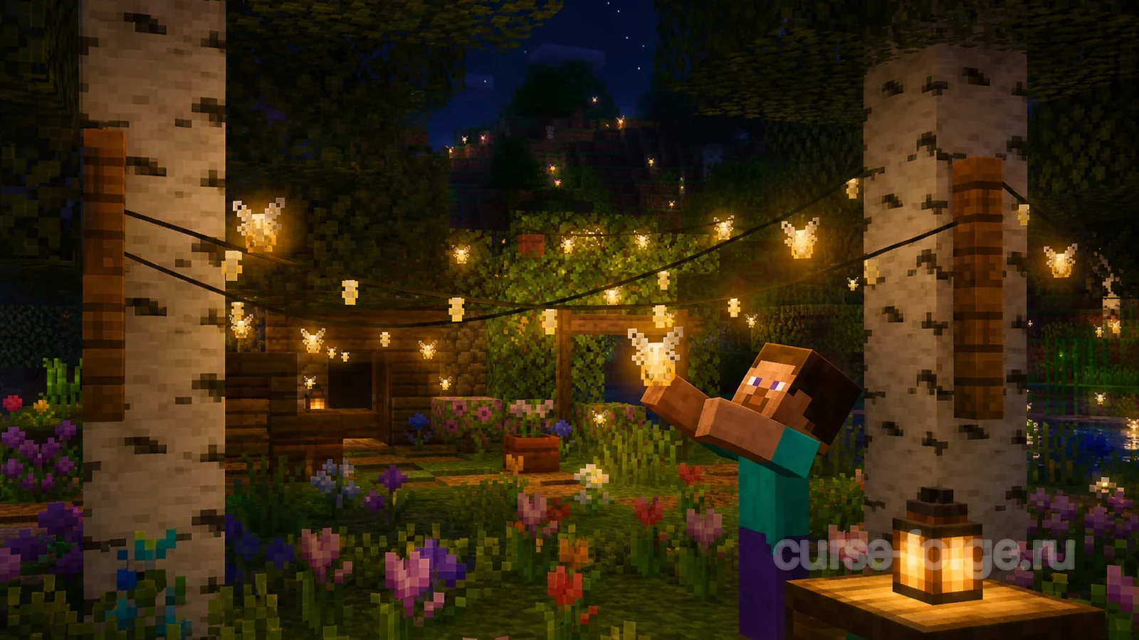 Fairy Lights