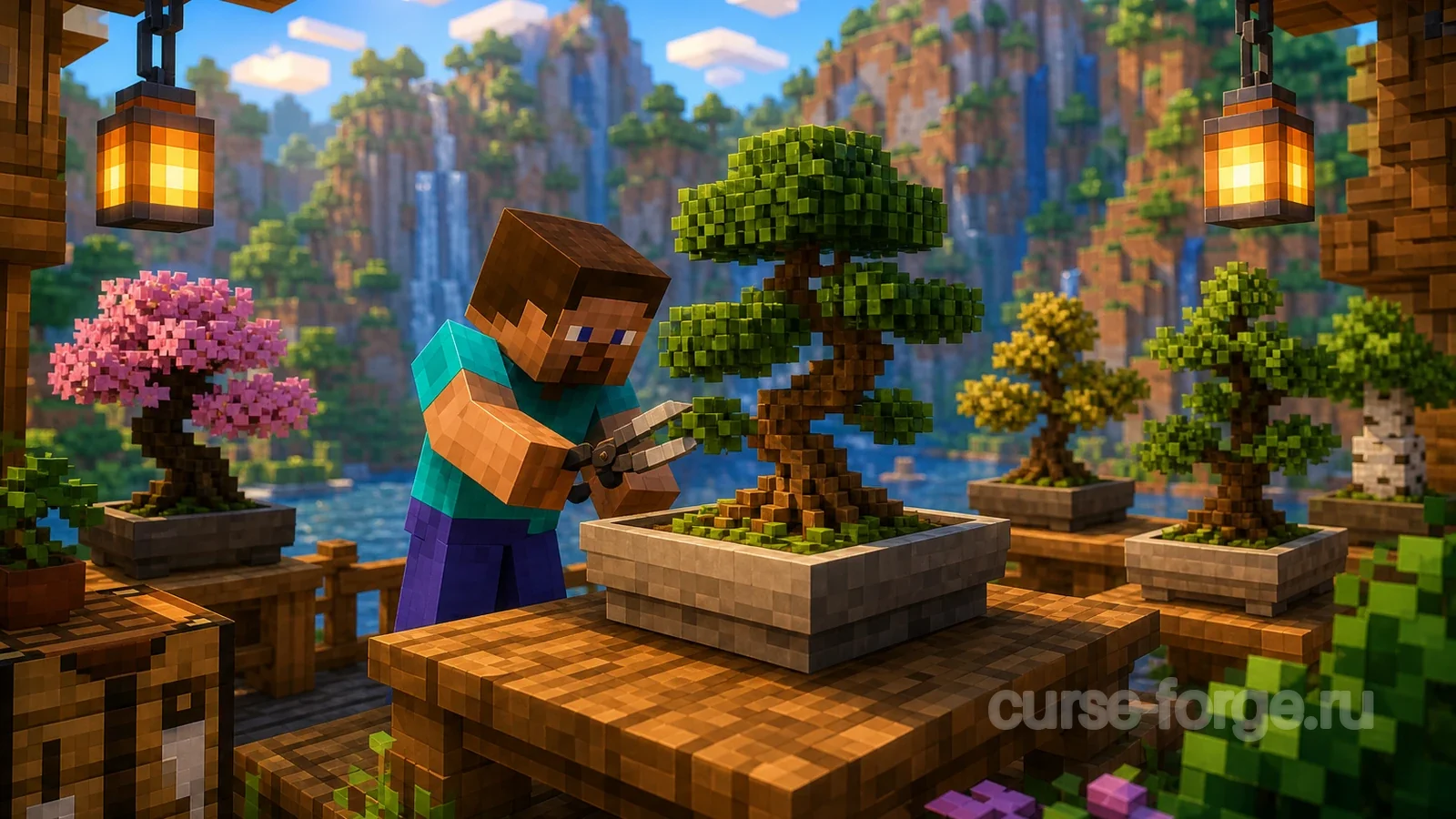 Bonsai Trees 3
