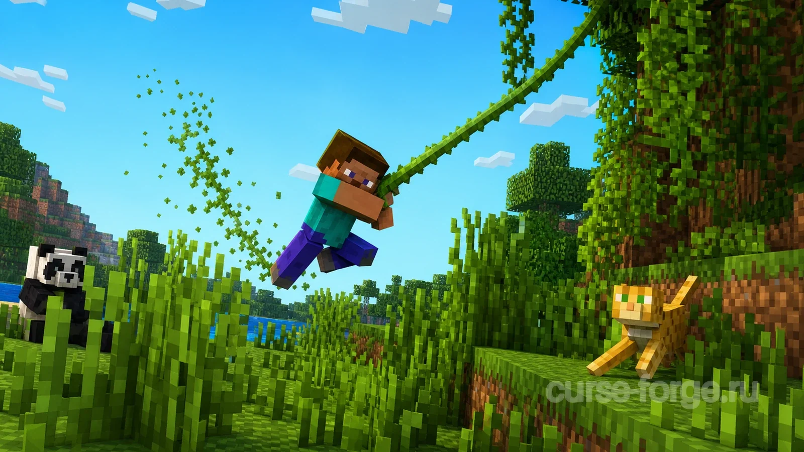 SwingThroughGrass