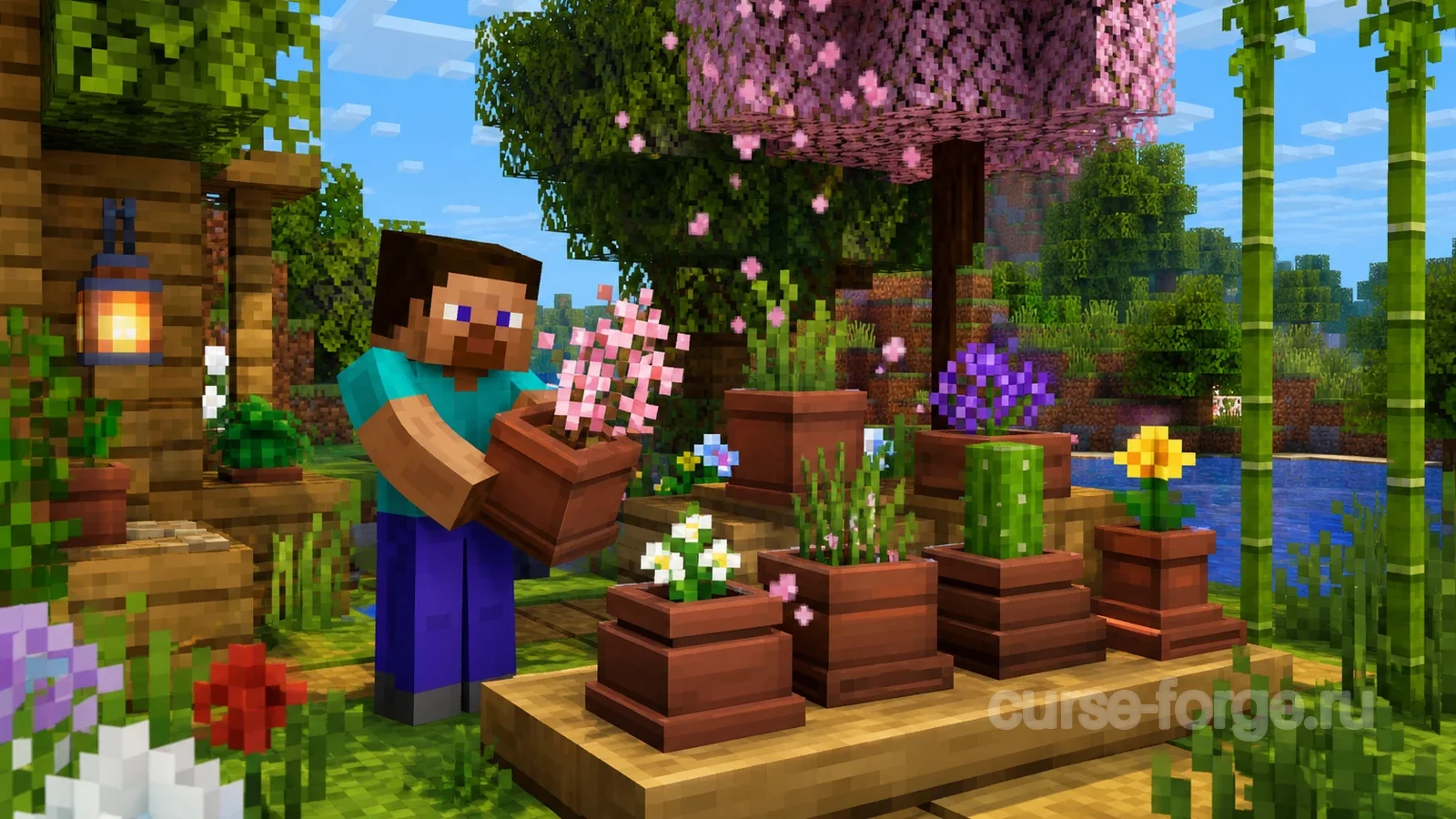 Botany Pots