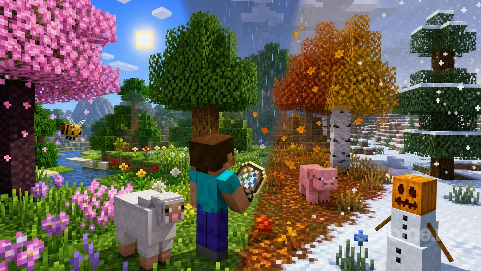 Serene Seasons