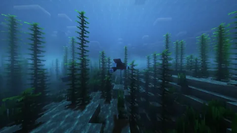 Complementary Shaders - Reimagined — превью 20