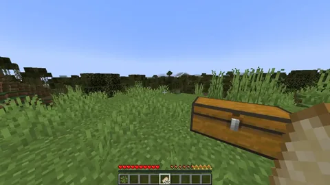 AppleSkin — превью 6
