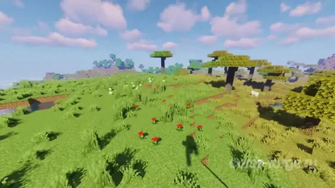 Sildur's Vibrant shaders — превью 8