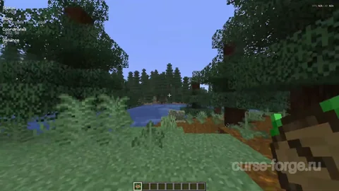 Nature's Compass — превью 5