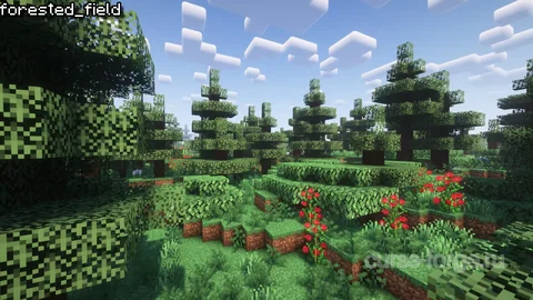 Biomes O' Plenty — превью 25