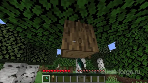 Fast Leaf Decay — скриншот 2