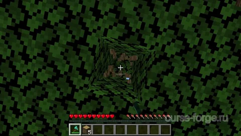 Fast Leaf Decay — превью 4
