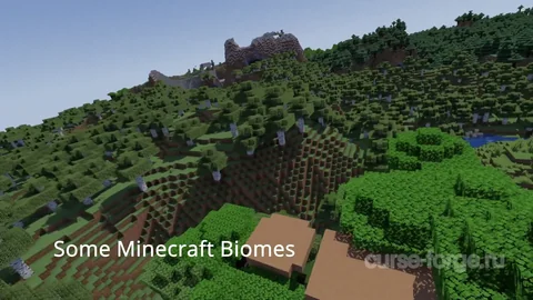 Vanilla Plus Shader — превью 14
