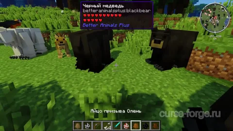 Better Animals Plus — превью 19