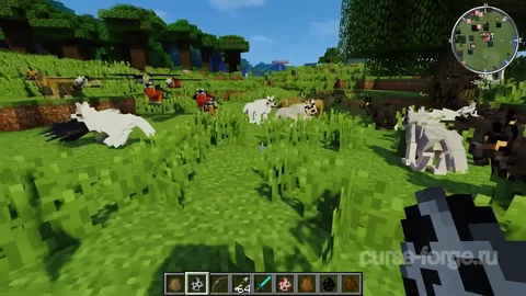 Better Animals Plus — превью 16