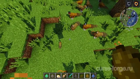 Better Animals Plus — превью 32