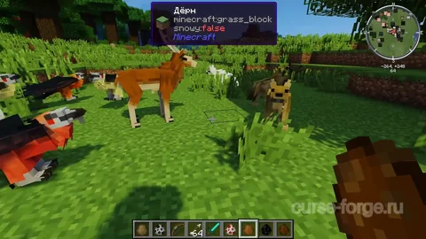 Better Animals Plus — превью 17