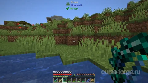 Aquaculture 2 — превью 22
