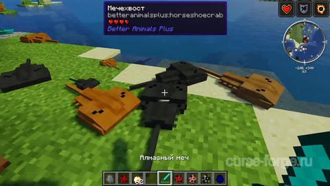 Better Animals Plus — превью 28