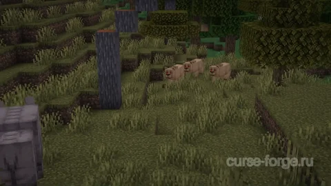 Naturalist — превью 4