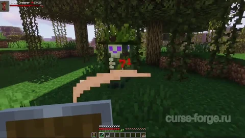 Creeper Overhaul — превью 25