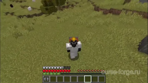 Elytra Slot — скриншот 1