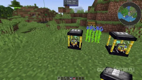 Ender Storage 1.8.+ — превью 11