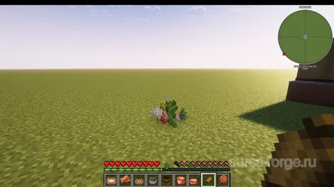 Pam's HarvestCraft — превью 9