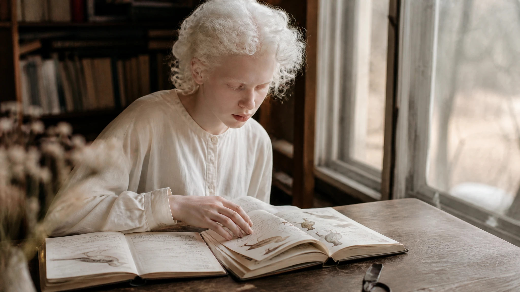 White animals explained: albinism, leucism, and the difference