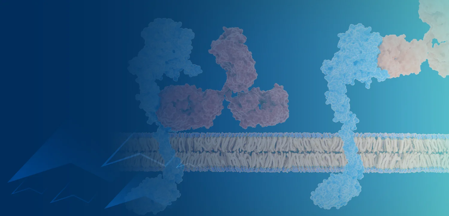 From Bench to Bedside: Paradigm Shifts in HER2+ Metastatic BTC Treatment
