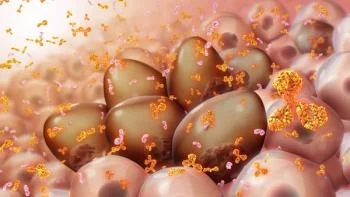 Teclistamab/daratumumab is one of the most exciting combinations seen in relapsed/refractory multiple myeloma, said María-Victoria Mateos, MD, PhD.