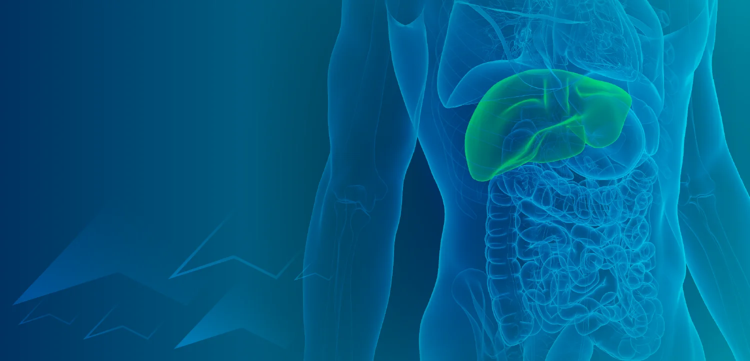 Broadening the Frontline—Studies Informing the Use of Immunotherapy in Hepatocellular Carcinoma