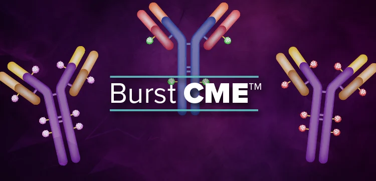 Evaluating the Latest Data and Ongoing Trials for Novel ADC Approaches in TNBC