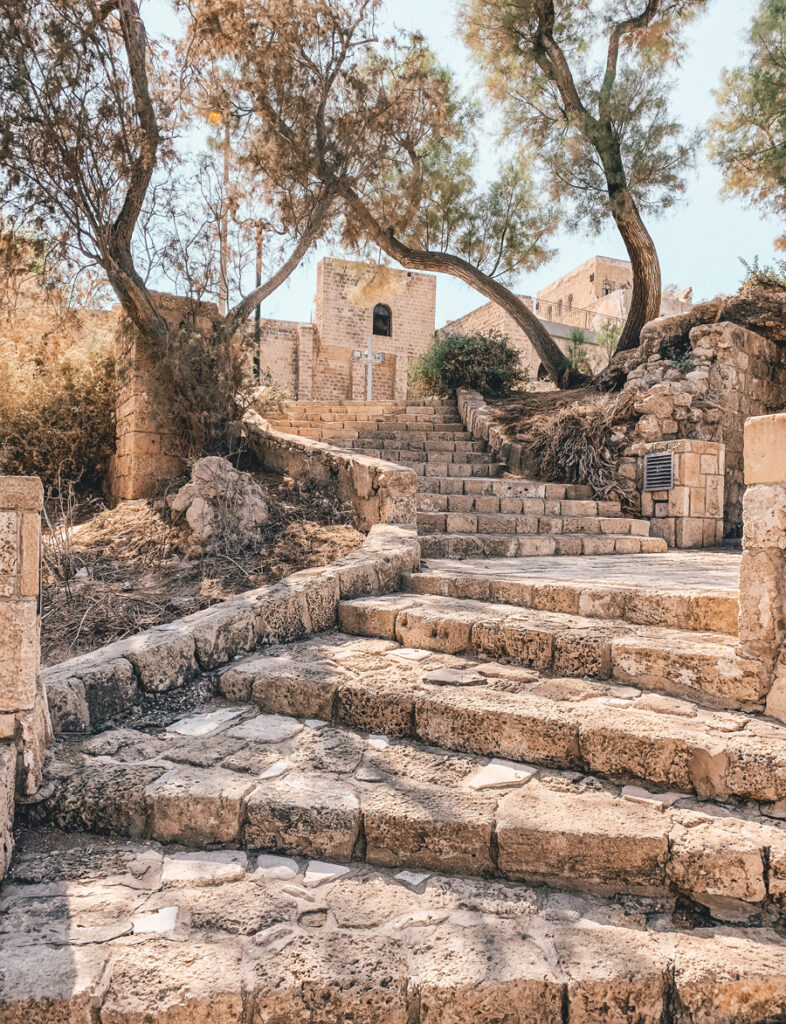 Pontus Wellgraf / Unsplash