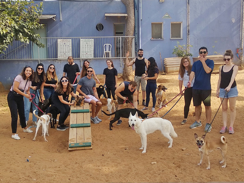Фото: SPCA Israel