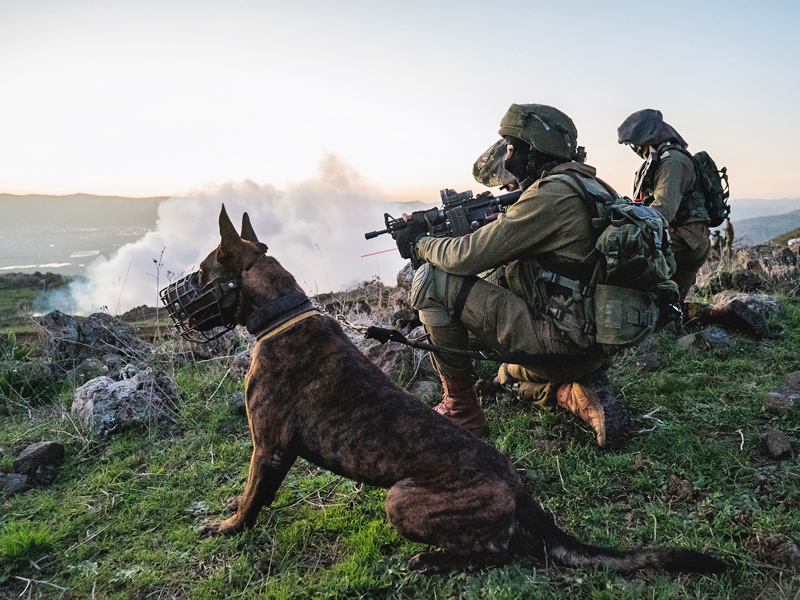 «Окец» (Oketz)— специальное кинологическое подразделение. Фото: IDF