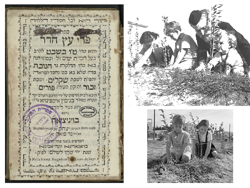 Слева: Седер Ту би-Шват «Pri Etz Hadar». Венеция, 1762 год. Фото: National Library of Israel. Справа: Ту би-Шват в Израиле, 1945 год. Фотограф: Zoltan Kluger