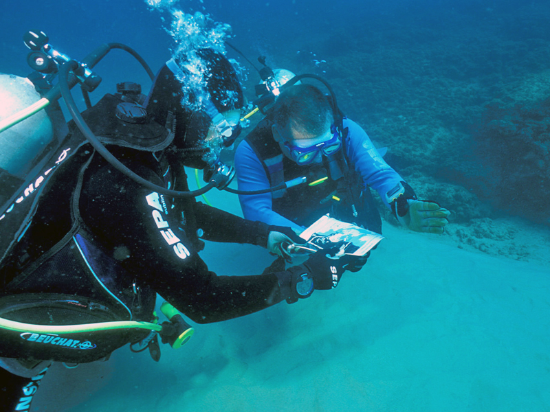 Фото: Old Caesarea Diving Center/Facebook